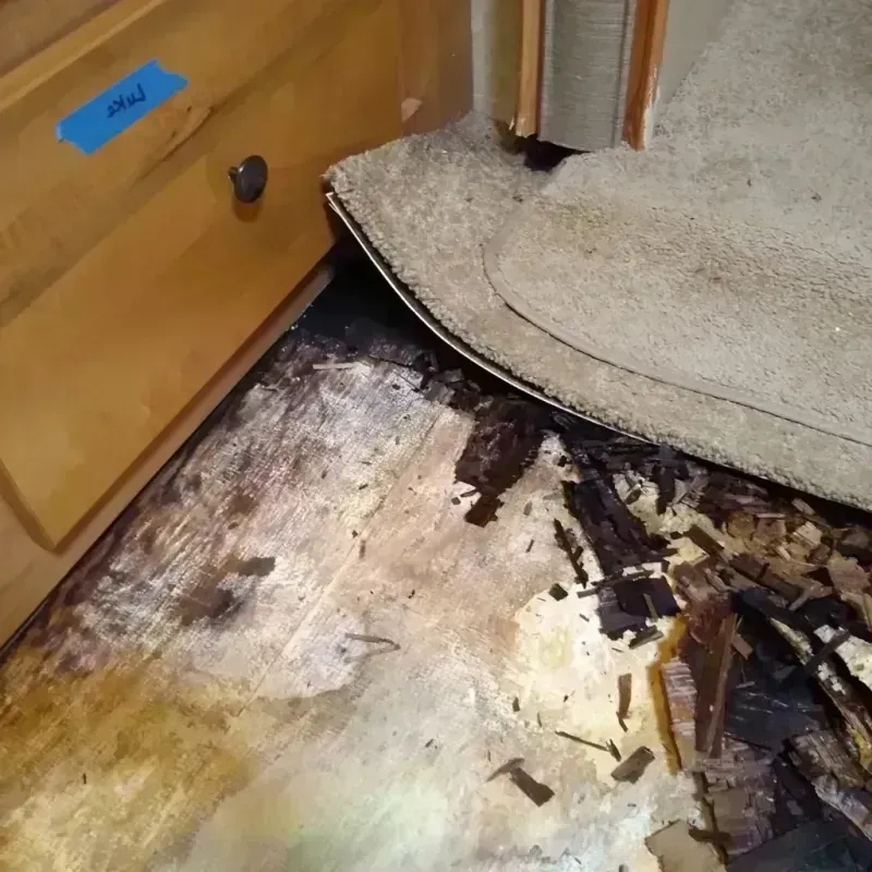 Best Wood Floor Water Damage Service in Eufaula, OK